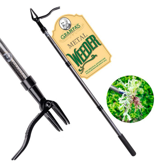 Grampa'S Metal Weeder - Stand up Weed Puller Tool with Steel Long Handle - Made with All Steel Handle & 4-Claw Steel Head - Easily Remove Weeds without Bending, Pulling, or Kneeling
